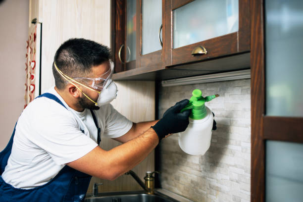 Pest Control for Restaurants in Great Neck Gardens, NY